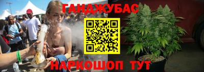 Альфа ПВП Новодвинск
