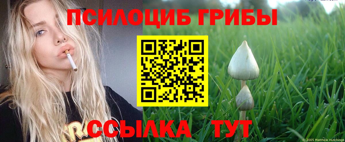 Псилоцибиновые грибы прущие грибы Тверь