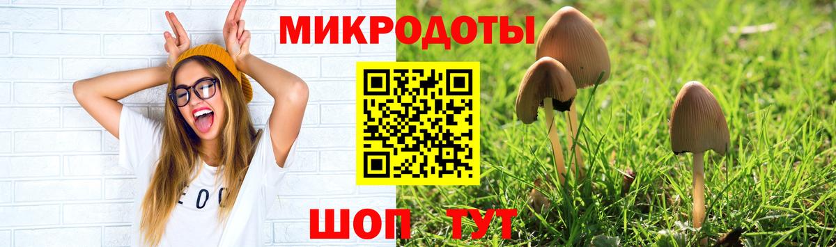 Галлюциногенные грибы Cubensis  Вход с VPN  Тверь  закладка  Галлюциногенные грибы Cubensis 